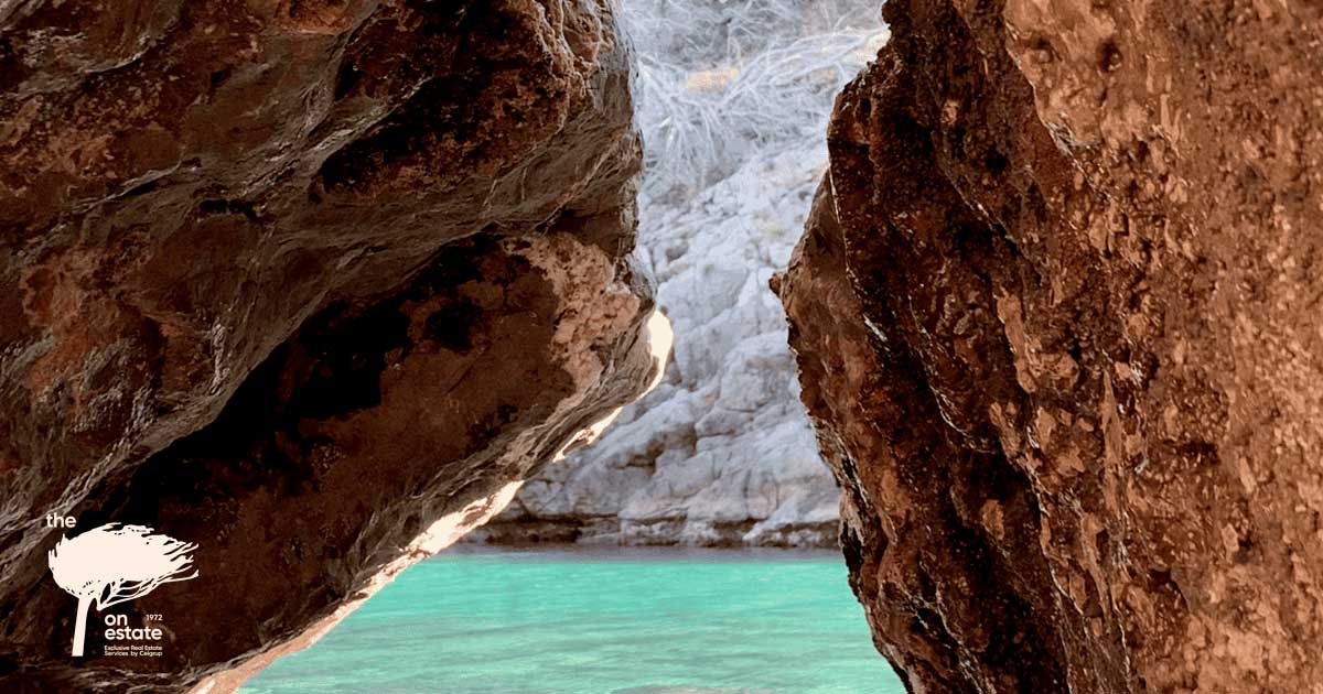 Cala de aguas turquesas entre rocas en la Costa Brava – The On Estate